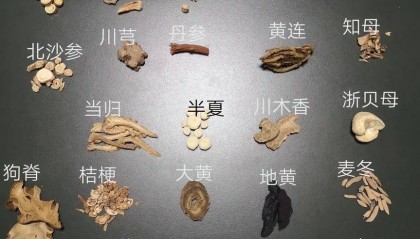 宋清辉：中药材商家为利益以次充好 或导致劣币驱逐良币情况出现